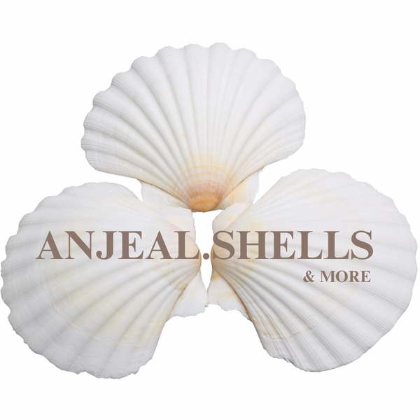 ANJEAL SHELLS & MORE 